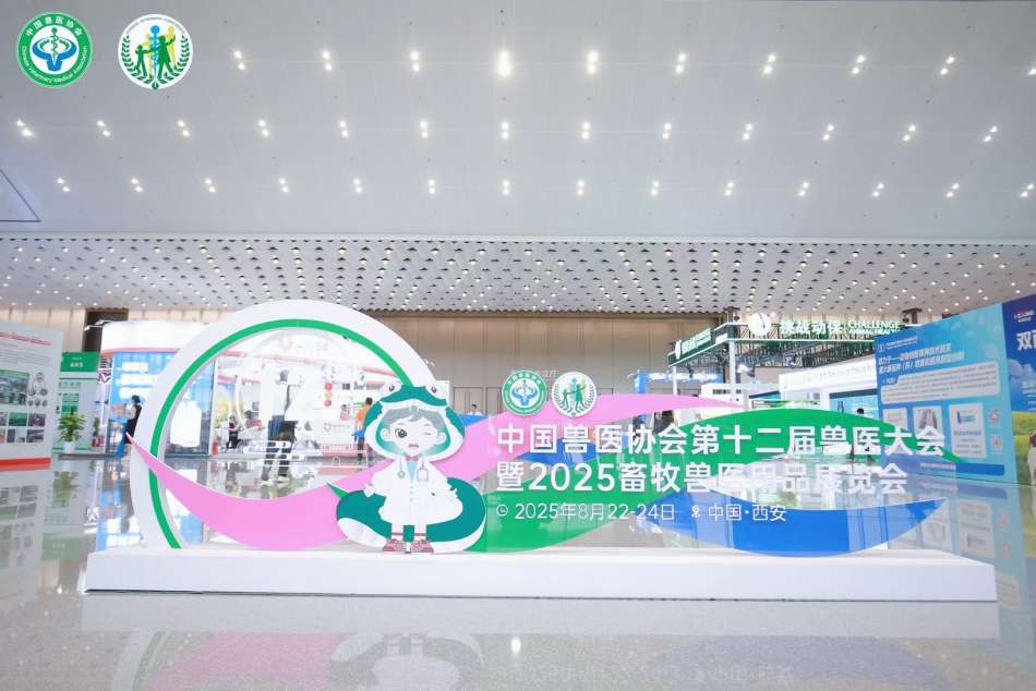 会议一角.JPG